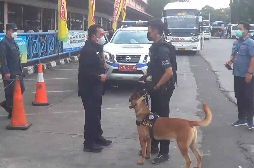 Anjing Pelacak ini Bertugas Gagalkan Penyelundup Narkoba di Terminal Kampung Rambutan