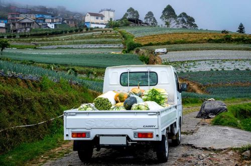 New Carry Kontribusi 56 Persen Total Penjualan Suzuki, Kini Ikut Terlibat Program MBG